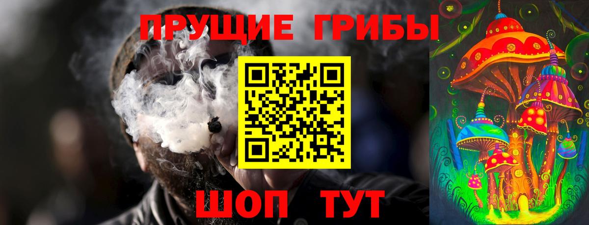 Псилоцибиновые грибы прущие грибы Азов